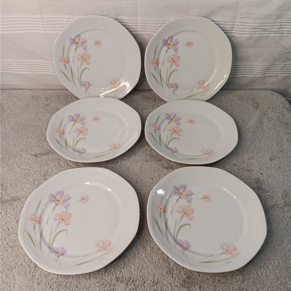 Mitterteich Bavaria 7 1/2" Porcelain Salad Plates Flowers Vintage Set of 6
